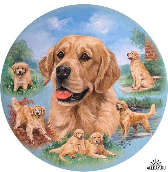 Собаки - оригинал