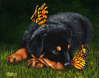 Щенок и бабочки - собаки, ротвеллер, бабочки, малыши, щенок, бабочка - оригинал