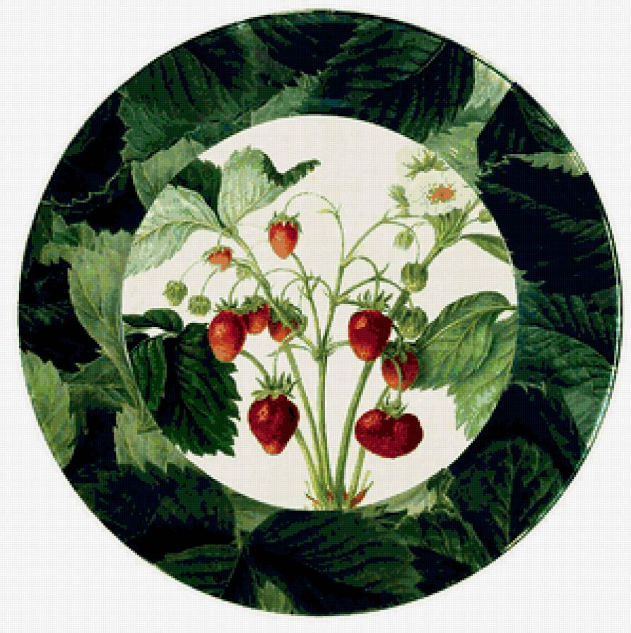 Земляничка - земляника, ягода - предпросмотр