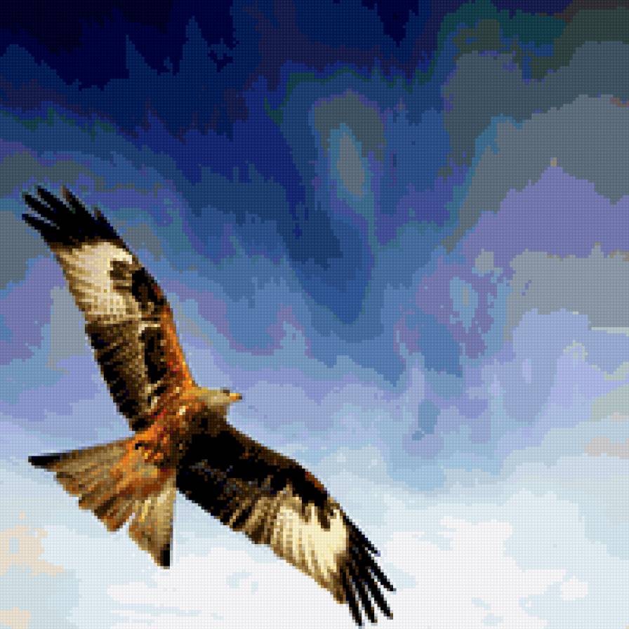 орел в полете - орел, полет, крытья, небо - предпросмотр