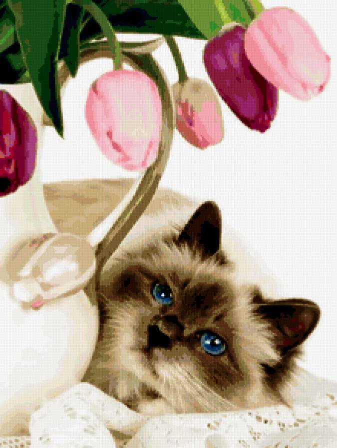 Котёнок и тюльпаны - предпросмотр