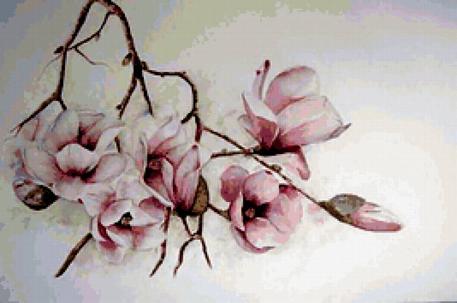 цветы - предпросмотр