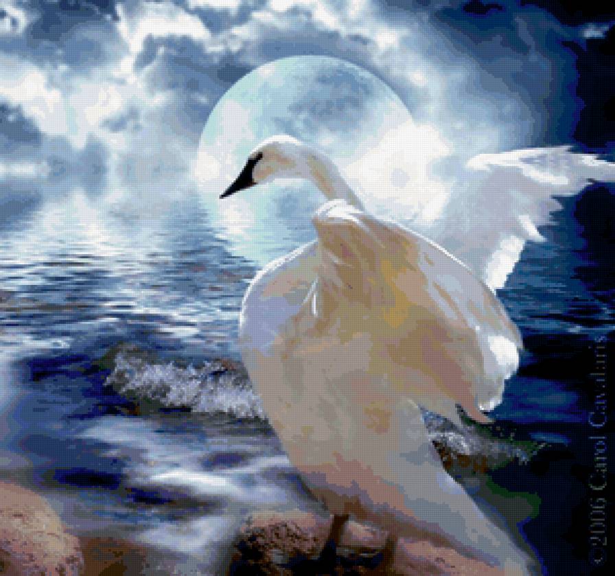 Лебедь - ночь, луна, лебедь - предпросмотр