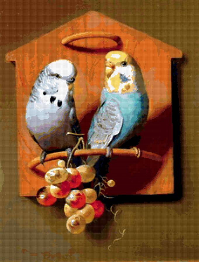 Парочка - попугай, пара - предпросмотр