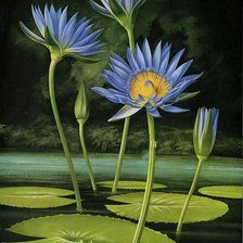 Схема вышивки «Кувшинки»