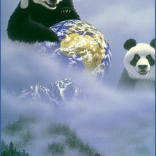 Панды и земля