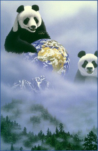 Панды и земля - оригинал