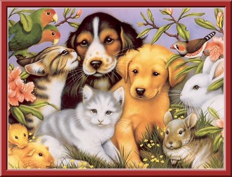 Братья наши меньшие - оригинал