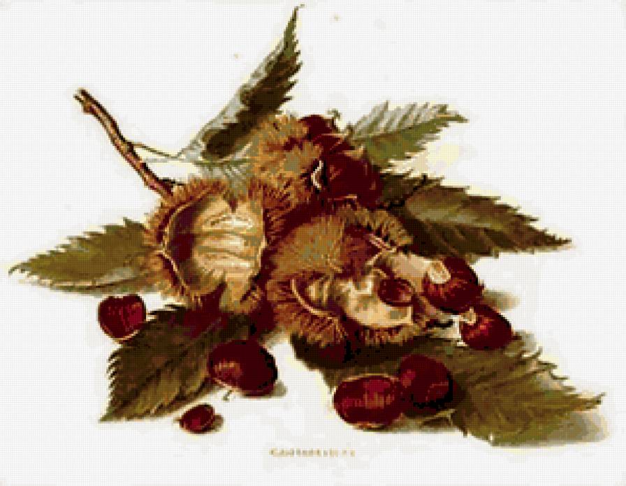 Каштаны - предпросмотр