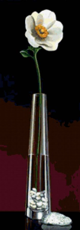 №237664 - предпросмотр