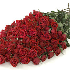 Схема вышивки «любимые розы 9»