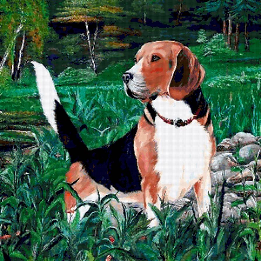 kutyus - предпросмотр