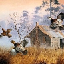 Схема вышивки «fácánok»