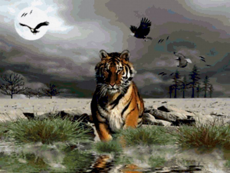 Tigris - предпросмотр