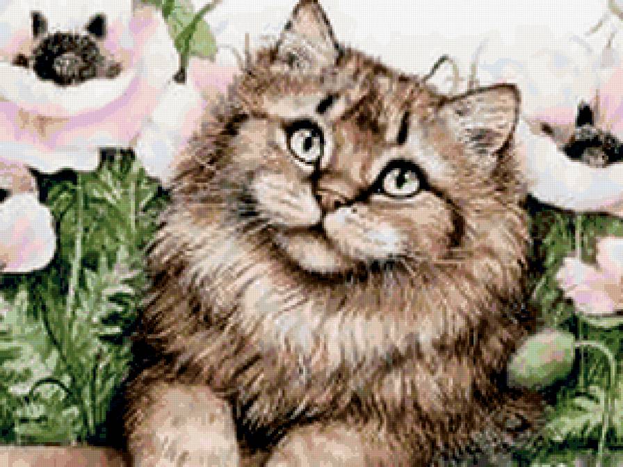 кот - киса, кошка, кот, портрет - предпросмотр