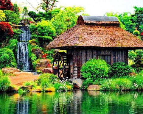 №238062 - оригинал