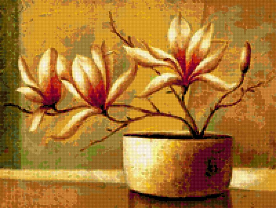 orchidea - предпросмотр