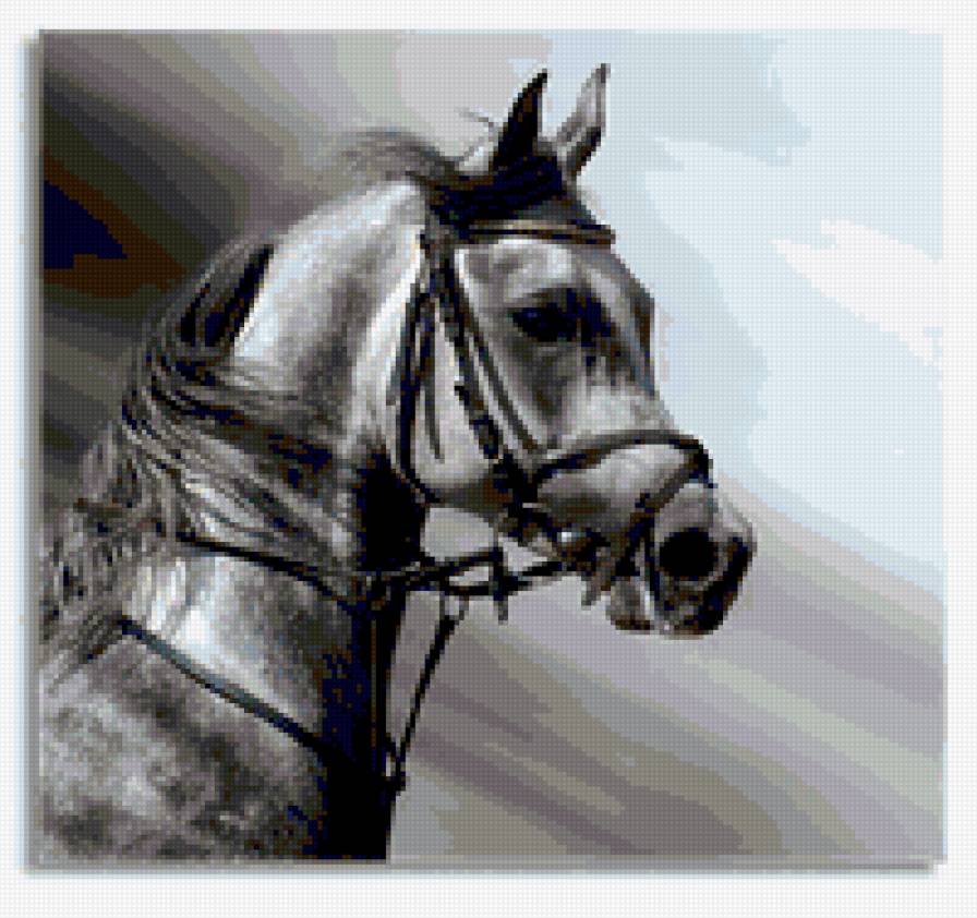 ló portré - предпросмотр