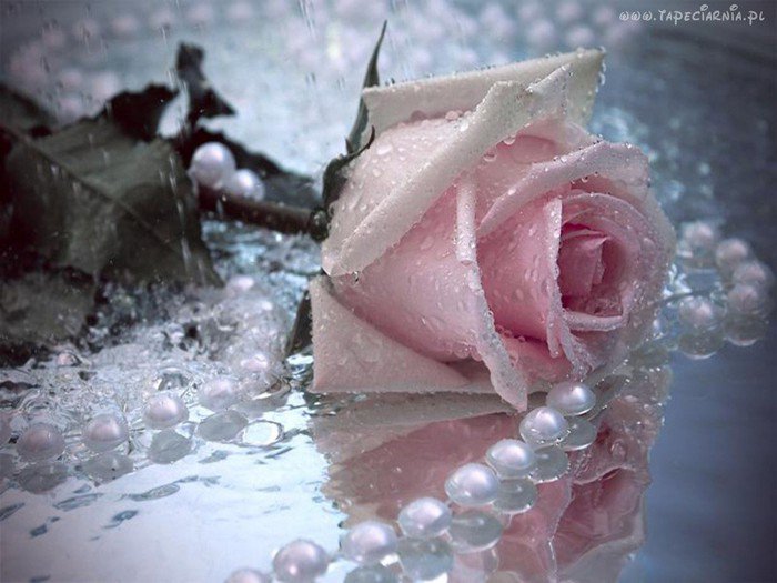 Отражение - цветы - оригинал