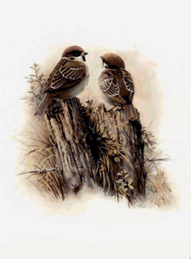 №238180 - предпросмотр