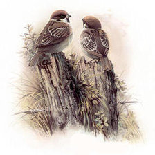 Схема вышивки «№238180»