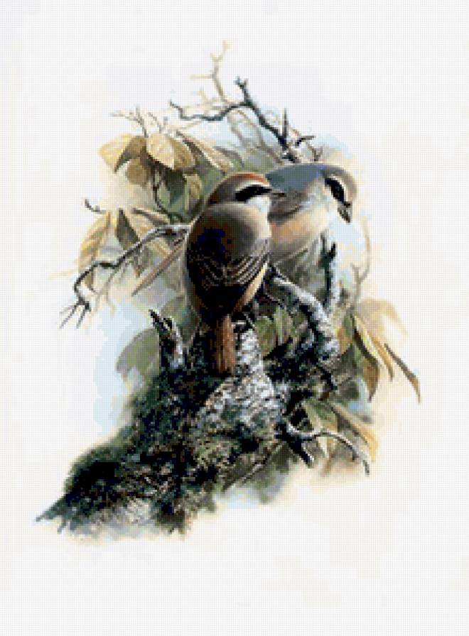 №238185 - предпросмотр