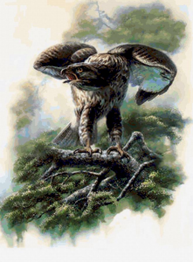 №238193 - предпросмотр