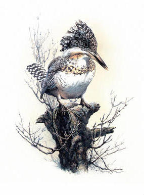 №238198 - оригинал