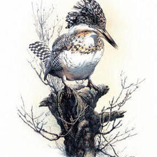 Схема вышивки «№238198»