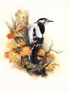 №238200 - оригинал