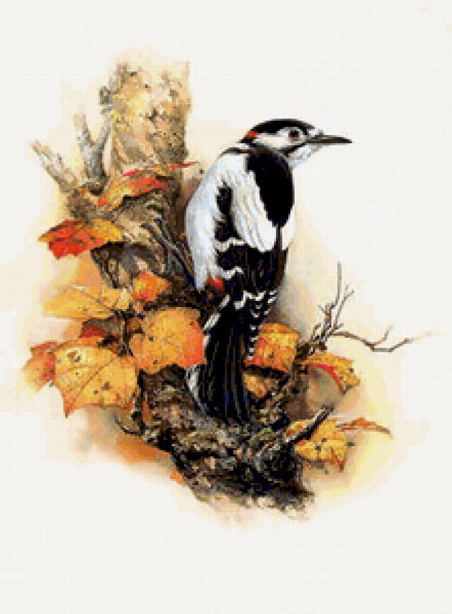 №238200 - предпросмотр