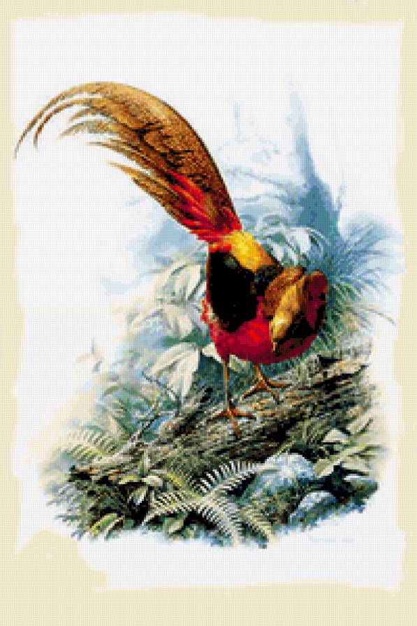 №238203 - предпросмотр