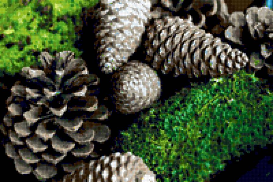 Шишки - шишки, лес, трава - предпросмотр