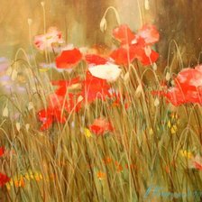 Схема вышивки «с белым цветком»