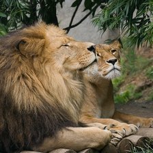 Схема вышивки «пара»