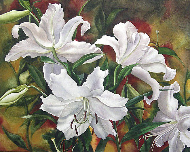 Белые лилии - лилии - оригинал