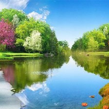 Схема вышивки «4 в1»