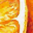 Предпросмотр схемы вышивки «Апельсин» (№238687)
