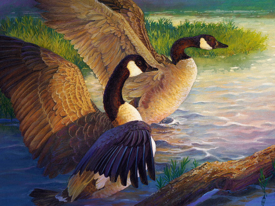 Vadmadarak - оригинал