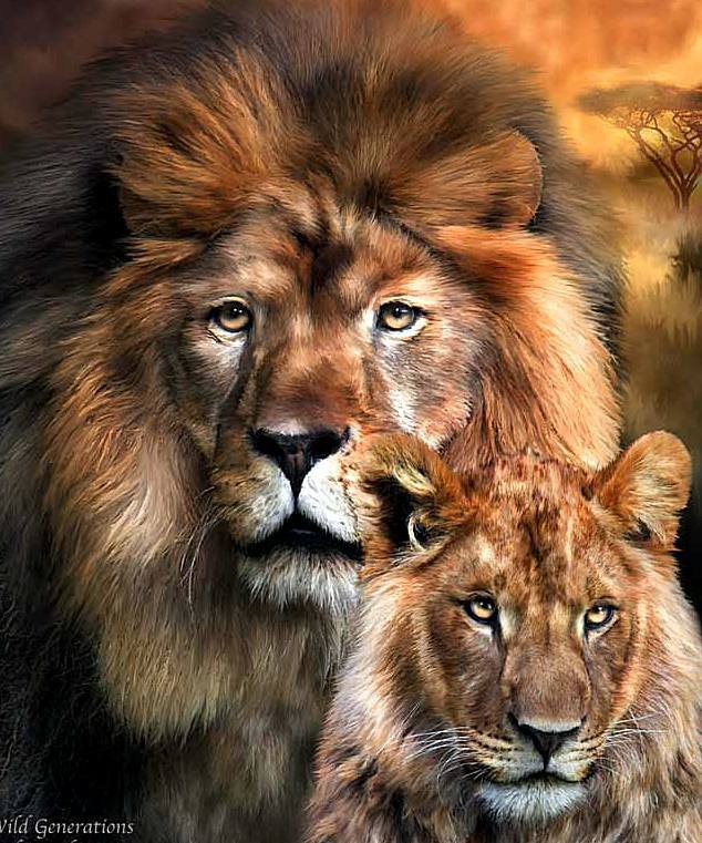 ЦАРЬ И ЦАРИЦА - самка, хищники, животные, любовь, львы, лев, самец - оригинал