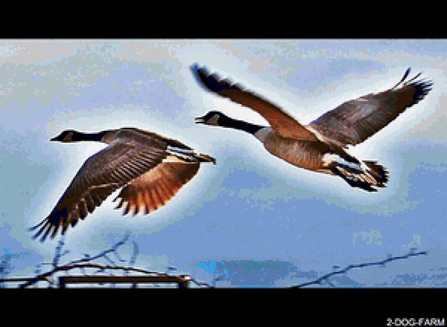 vadlibák - предпросмотр