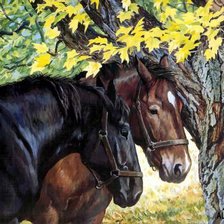 Схема вышивки «№238877»