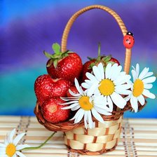 Схема вышивки «Корзинка»