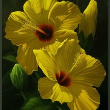 Оригинал схемы вышивки «Жёлтые цветы» (№238945)