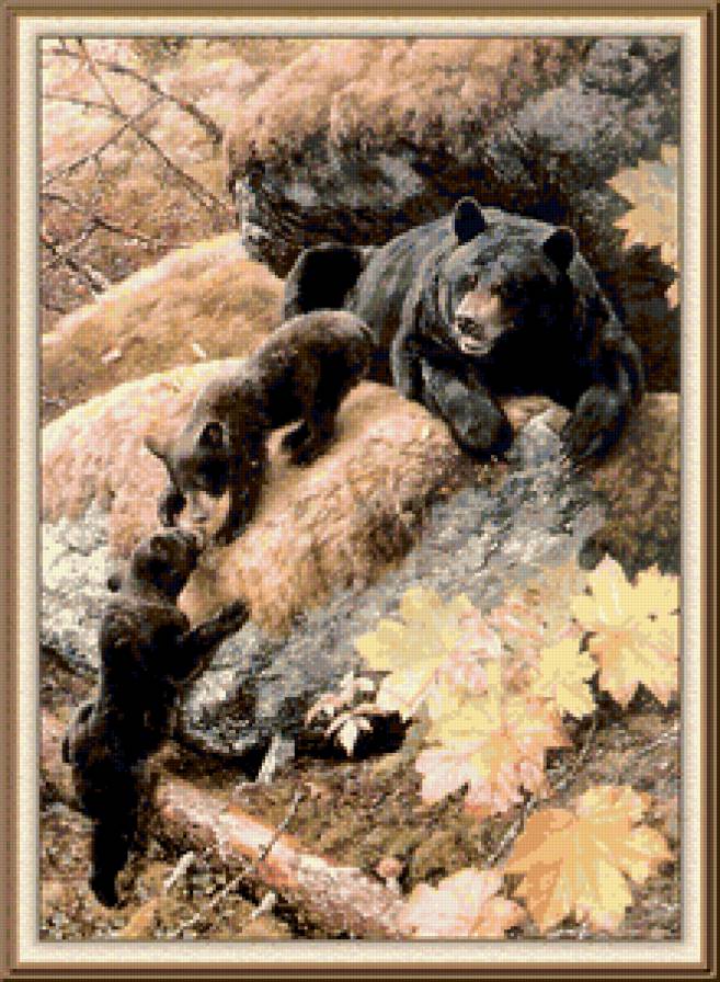 Медведи - предпросмотр