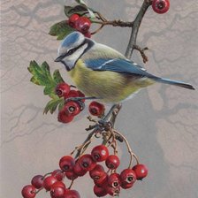 Схема вышивки «Синичка на ветке»