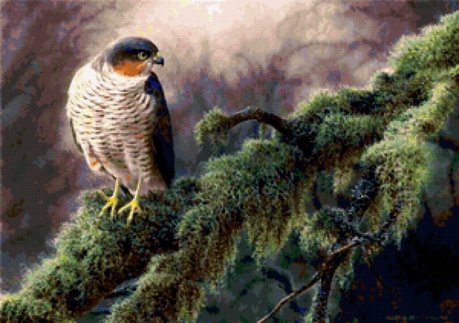 Птица - предпросмотр