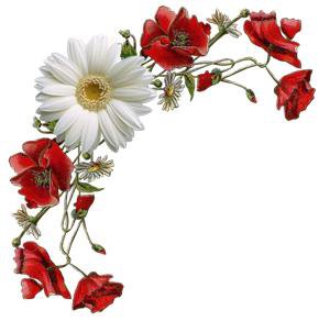 Цветы - оригинал