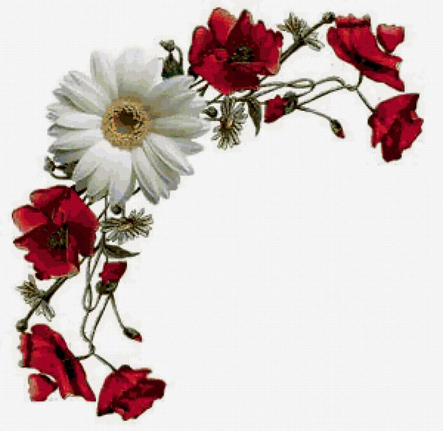 Цветы - предпросмотр