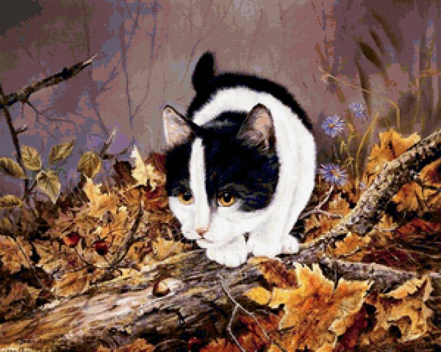 №239242 - листья, животные, котик, кошка, осень - предпросмотр